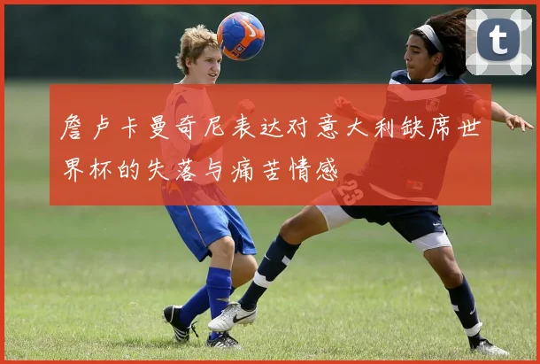 詹卢卡曼奇尼表达对意大利缺席世界杯的失落与痛苦情感